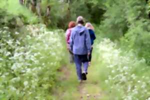 Randonnée à Saint-Jory-Las-Bloux  organisée par Les Pieds dans l’herbe.