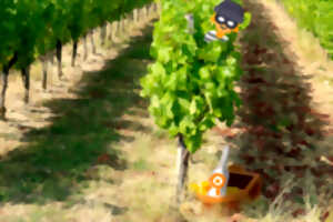 Escape game dans les vignes | Château du Haut Pezaud