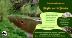 Sortie naturaliste en kayak sur la Sélune