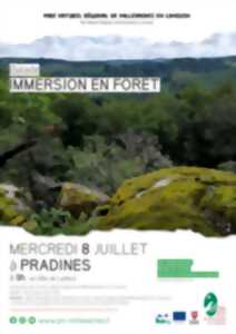 photo Immersion en forêt
