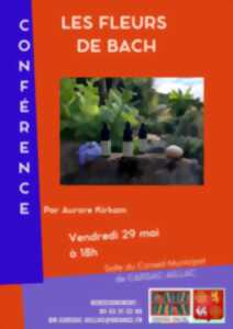 Quand les fleurs parlent aux émotions
