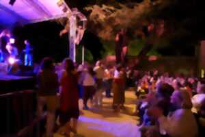 Concerts et animations