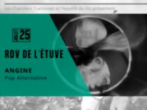 photo Rdv de l’Étuve – Bar associatif et concert pop alternative