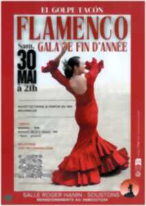 Flamenco - Gala de fin d'année