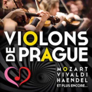 Concert violons de Prague