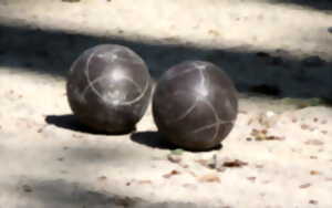photo Concours de pétanque