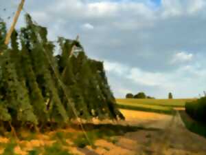 Les Vendredis Houblonnés sur le Sentier du Houblon