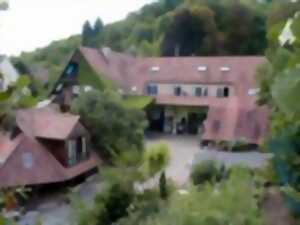 Pique-nique chez le vigneron - Domaine Bachert