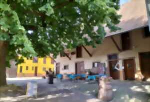 Apéro gourmand au domaine Lutz