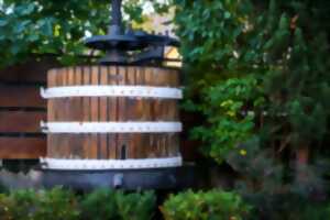 Pique-nique chez le vigneron - Domaine Heywang