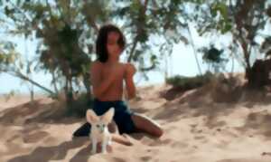 Film - L'enfant du désert