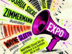 Expo Street Art et mapping