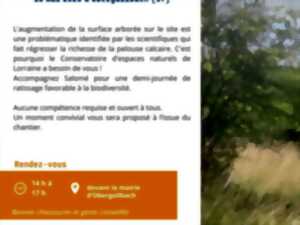 Entretien d'une pelouse calcaire