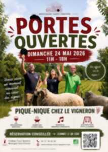 Château Franc-Baudron : pique-nique chez le vigneron