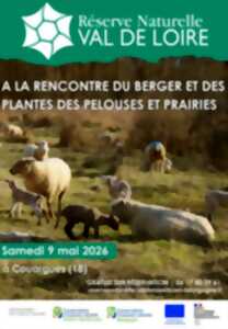 A la rencontre du Berger et des plantes des pelouses et prairies