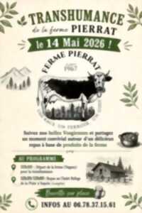 Transhumance de la ferme Pierrat