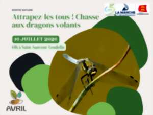 Attrapez les tous ! Chasse aux dragons volants