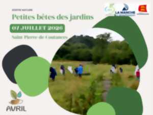 Petites bêtes des jardins