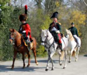 Military horse - drawn show