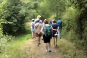 photo L'histoire du bocage