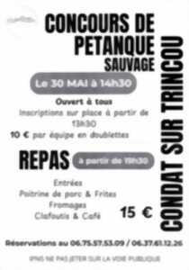 Concours de pétanque sauvage