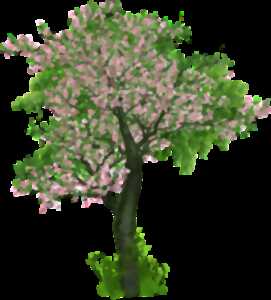 Comme un arbre