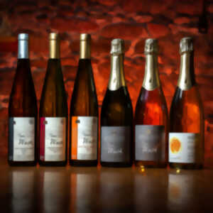Apéro gourmand au Domaine Wach Jean & Fils