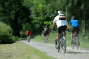 Le Tour du Kastelberg