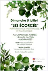 photo Les Ecorchés, performance théâtralisée et fantastique