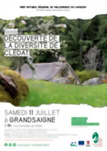 photo Balade à Clédat : Découverte de la diversité