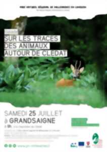 photo Sur les traces des animaux autour de Clédat