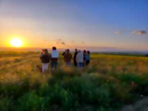 photo BALADE GOLDEN HOUR AU DOMAINE