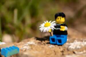 photo Atelier Lego® de l’été avec la Brique Montargoise