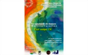 Un spectacle de danses multicurelles