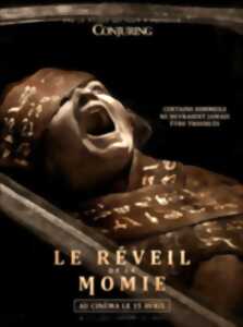 photo Cinéma Laruns : Le réveil de la momie