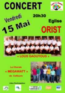 photo Concert Lous Gaouyous et Mega Watt