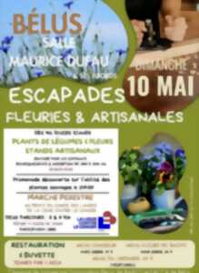 photo Escapades fleuries & artisanales