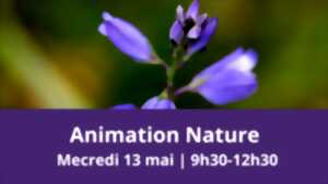 Animation nature sur la réserve naturelle du coteau de Mesnil-Soleil