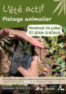photo Eté actif : Pistage animalier