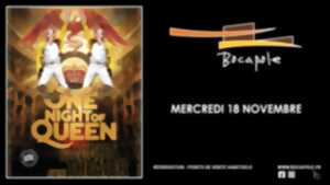 Spectacle - One night of Queen
