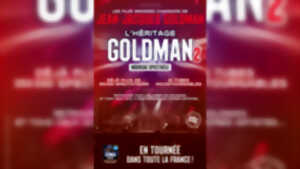 photo Concert : L'héritage Goldman 2