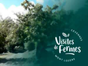 VISITES DE FERMES 2026 : LES CHATAIGNERAIES DE MATTHIAS