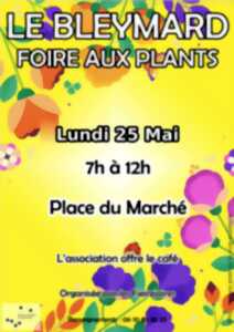 FOIRE AUX PLANTS