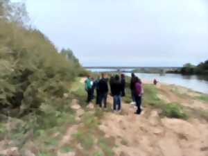 Rendez-vous avec l'Observatoire Loire - Inondations à Blois entre nature et prévention