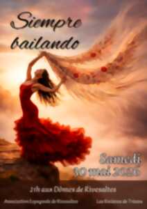 GALA DE FLAMENCO