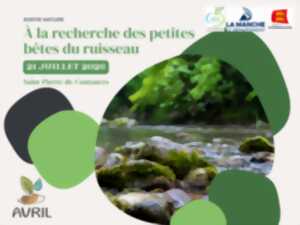 A la recherche des petites bêtes du ruisseau