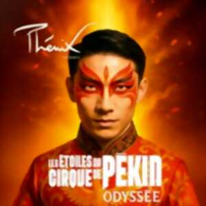 photo Les Etoiles du Cirque de Pékin - Odyssée - Cirque Phénix, Paris