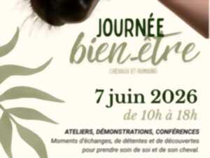 Journée bien-être chevaux et humains