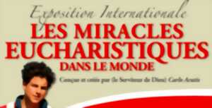 Exposition Internationale Carlo Acutis - les Miracles Eucharistiques dans le monde