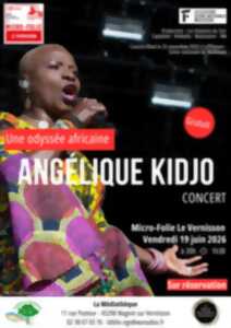 Concert d'Angélique Kidjo